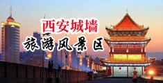 黄色插插性视频中国陕西-西安城墙旅游风景区